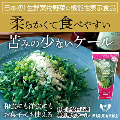 【ふるさと納税】【毎月定期便】やわらかくて食べやすい苦みの少ないケール【静岡県磐田市産 特別栽培】全6回_ ケール 野菜 スーパーフード やさい 食物繊維 カルシウム サラダ パスタ スムージー 定期便 全6回 産地直送 冷蔵 送料無料 【配送不可地域：離島】【4003775】