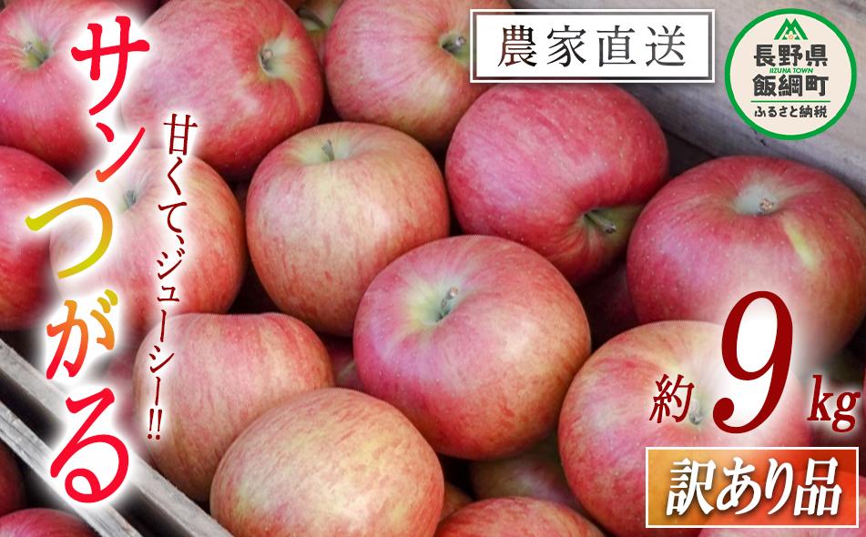りんご サンつがる 訳あり 9kg 松橋りんご園 沖縄県への配送不可 2025年9月上旬頃から2025年9月中旬頃まで順次発送予定 令和7年度収穫分 フルーツ リンゴ 信州 長野県 飯綱町 [0824]