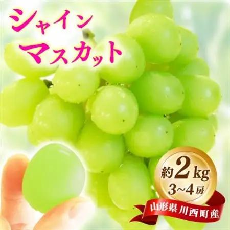 【先行予約】令和8年産 シャインマスカット 約2kg(3房～4房)【配送不可地域：離島】【1721854】