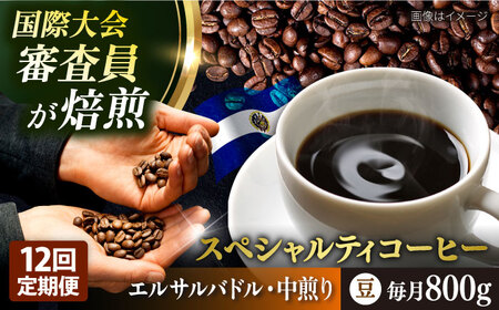 【全12回定期便】コーヒー豆 自家焙煎 中煎り エルサルバドル 200g×4 TSUKIKOYA COFFEE ROASTER ツキコヤ 珈琲 こだわり 横須賀【株式会社RUINS】 [AKAD030]