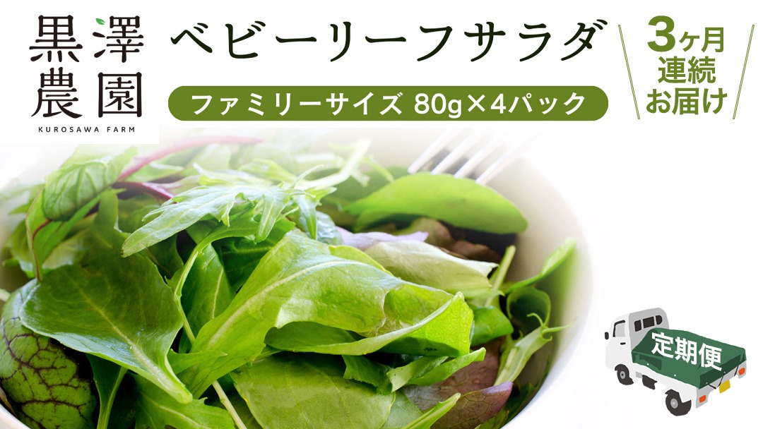 【 定期便 】3か月連続でお届け！ 黒澤農園 の ベビーリーフサラダ （ 80g × 4パック ）ファミリーサイズ ベビーリーフ サラダ 生野菜 食べやすい 若葉 ファミリー 旬 新鮮 国産 彩り 頒布会 野菜 葉野菜 国産 直送 定期 [DS04-NT]