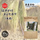 【ふるさと納税】 《新米予約》 玄米 10kg 新潟県産 コシヒカリ はざ掛け 天日干し 令和6年産 越後奥阿賀産 5kg×2袋 | 小会瀬 はざがけ こしひかり 一等米 送料無料 お取り寄せ お米 ※2024年10月中旬頃より順次発送