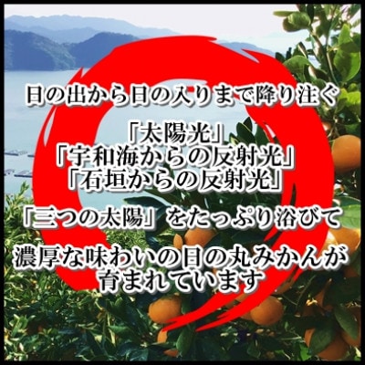 果汁しっかり自然の恵み!「ガキ大将」3kg(L/Mサイズ)/日の丸みかん/ご家庭用【C79−14】【1452037】