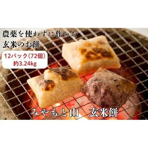 （2026年9～11月発送）農薬を使わずに作った玄米100％の玄米餅　12パック ／ 餅 もち モチお餅 おもち 玄米 玄米餅 玄米もち 切り餅 みやもと山 千葉県 匝瑳市 送料無料