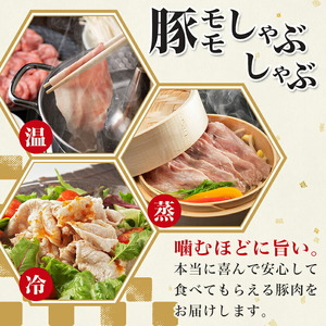 「観音池ポーク」モモしゃぶしゃぶ2kg(たれ付き)_MJ-1569_(都城市) 都城産 観音池ポーク モモしゃぶしゃぶ肉 真空パック 佐吉のたれ しゃぶしゃぶ用 豚肉 ブランドポーク 万能調味料