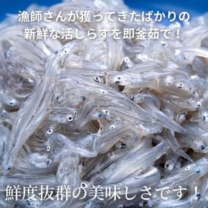 篠島の高級釜揚げしらす干し700g(70g×10袋小分けパック)CAS冷凍・無添加　海鮮丼、離乳食に [配送不可地域：離島]