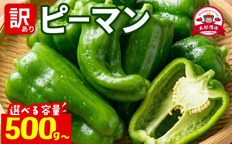 
                  訳ありピーマン 選べる容量 500g 3㎏ 5㎏ [7-9月発送] 規格外 ピーマン 野菜 やさい 赤 緑 完熟 ぴーまん 食品 旨味 ミネラル 栄養 自宅用 お試し ごはん 夕飯 おかず サラダ 被災 震災 火災 支援 大船渡 三陸 岩手県 国産
                