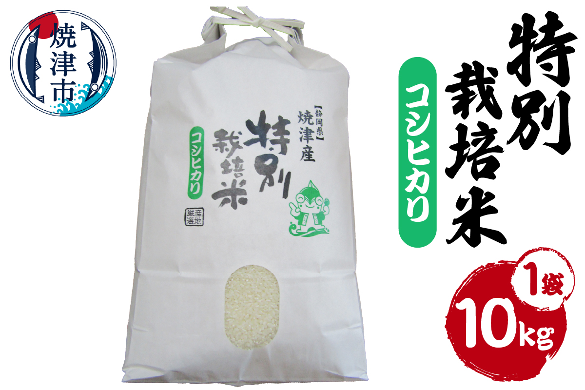 a31-016　新米　令和8年産　特別栽培米　こしひかり　10Kg　農家のお米
