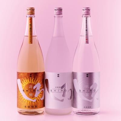 ふるさと納税 多良木町 白岳・厳選一升瓶5本セット |  | 01