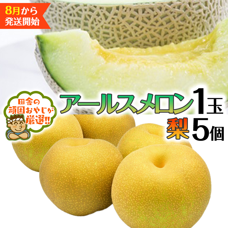 アールスメロン 1個 梨5個 【2025年8月発送開始】田舎の頑固おやじが厳選！ メロン 高糖度 美味しい 甘い フルーツ [BI318-NT]