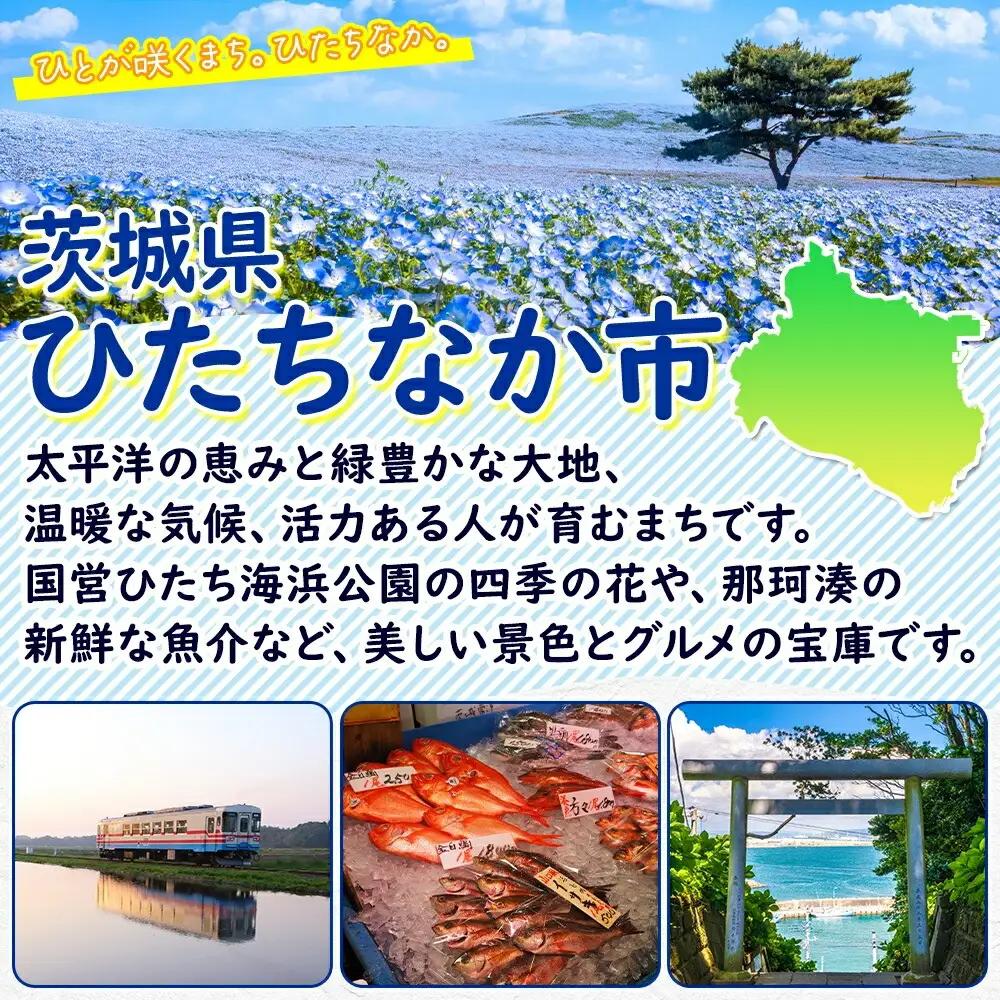紅鮭スモークサーモン姿切り 500g×1パック お取り寄せグルメ カルパッチョ おつまみ【配送不可地域：離島】【1639109】