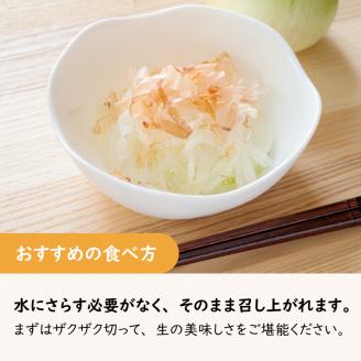【予約：2024年7月中旬から順次発送】ところの白玉ねぎ 3kg ( 玉ねぎ タマネギ 玉葱 野菜 白玉ねぎ 3キロ 期間限定 辛みが少ない 生食 )【121-0003-2024】
