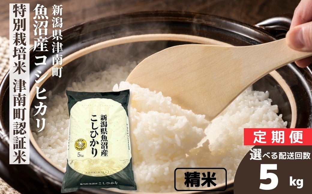 
            【 選べる配送回数 】【令和7年産】米 5kg 魚沼産 コシヒカリ 特別栽培米 津南町認証米 （単月/3ヶ月/6ヶ月/12ヶ月）定期便  | こしひかり お米 おこめ こめ コメ ご飯 ごはん 白米 精米 ブランド米 おすすめ 人気 ギフト プレゼント 新潟県 津南町
          