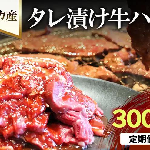 【6か月定期便】アメリカ産タレ漬け牛ハラミ 300g×２ | 牛肉 焼肉 焼き肉 アウトドア BBQ