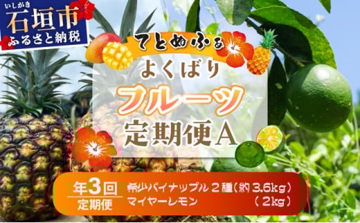 《年3回発送》パイナップル好きにおすすめ！某TV番組で紹介された希少なホワイトココとピーチパイン、マイヤーレモンの定期便