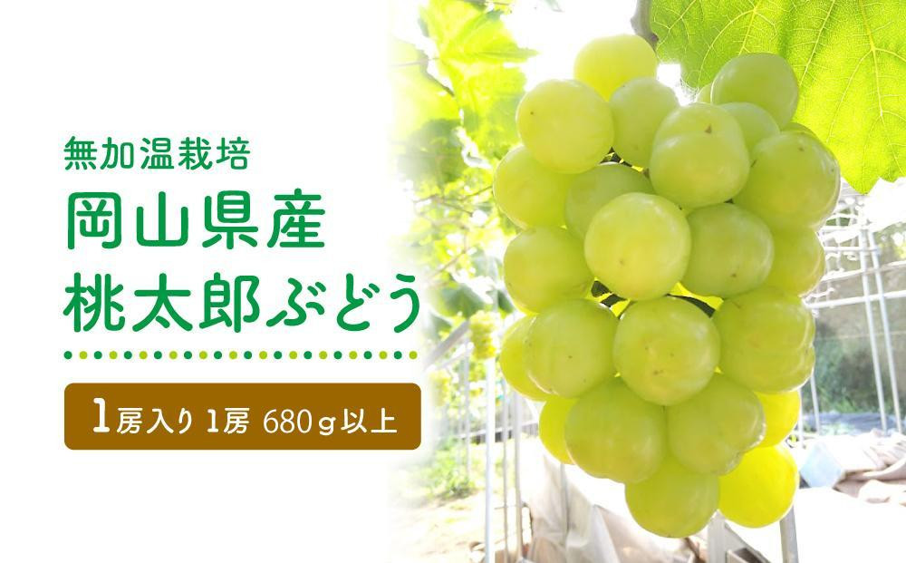 
            GV04　【無加温栽培】岡山県産桃太郎ぶどう1房入り（1房680ｇ以上）＜2025年発送＞【ぶどう 葡萄 人気フルーツ 岡山フルーツ おすすめフルーツ 岡山県 倉敷市】
          