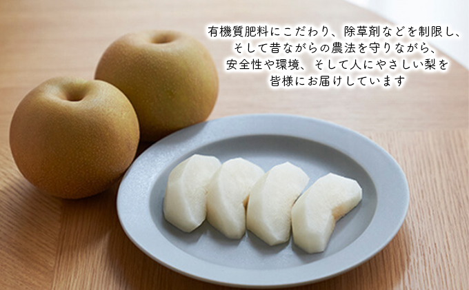 和梨 5kg 家庭用（新高・新興） 梨 新高梨 新興梨 詰め合わせ セット 和梨 なし ナシ 新高 新興 フルーツ 果物 デザート おやつ 国産 新潟 