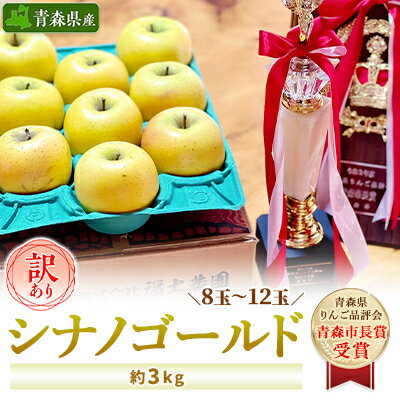 【ふるさと納税】「シナノゴールド」3kg・訳あり家庭用りんご【冷蔵:スマートフレッシュ加工】【配送不可地域：離島・沖縄県】【1287592】
