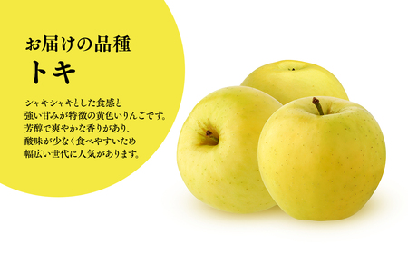 【レビューキャンペーン】≪2026年9月中旬頃より発送≫訳あり トキ 約3kg 青森県平川市産[hi-0036-003]