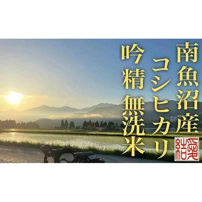 【令和7年産】【定期便２Kg×全6回【無洗米】 南魚沼産コシヒカリ【定期便 銘柄米 ブランド米 無洗米 こしひかり コシヒカリ 魚沼産 新潟米 産地直送 お米 米 こめ コメ ご飯 御飯 ごはん】