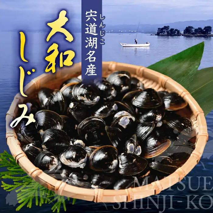 しじみ 鮮度抜群！Lサイズ2kg(生鮮･砂抜済･活しじみ)  島根県松江市/有限会社藤本米穀店[ALCG008] しじみ しじみ