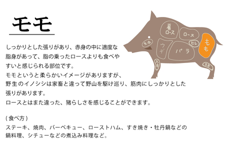 【ジビエ】平戸いのしし モモブロック肉(1kg)  猪肉【西九州させぼ地域商社】ジビエ ジビエ ジビエ ジビエ ジビエ ジビエ ジビエ
