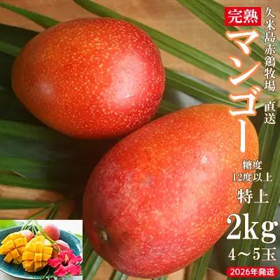 マンゴー【2026年発送】久米島赤鶏牧場 直送！糖度12度以上「特上」完熟マンゴー 約2kg（4～5玉） フルーツ