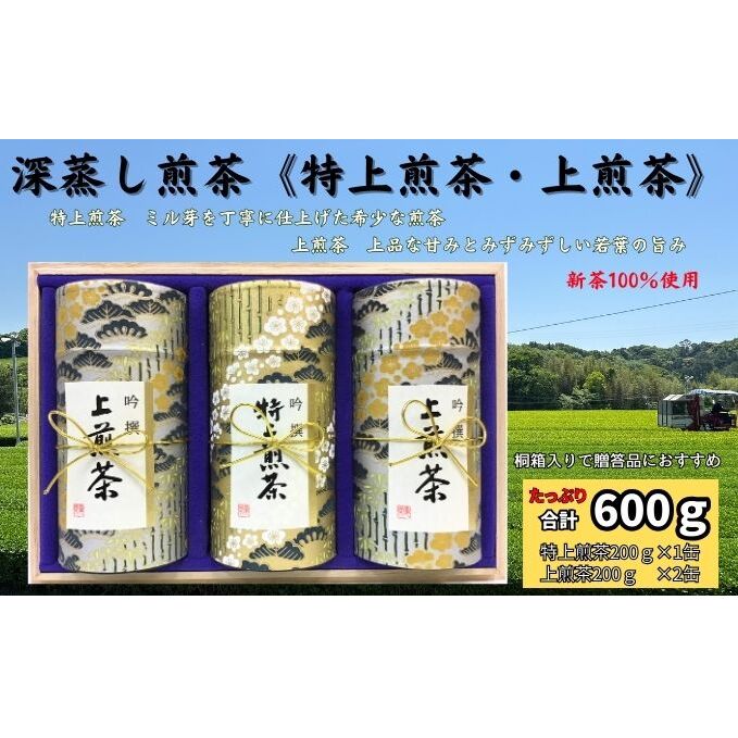 【ふるさと納税】深蒸し煎茶《特上煎茶[200g×1本]・上煎茶[200g×2本]》　お届け：2025年5月30日～2026年4月30日