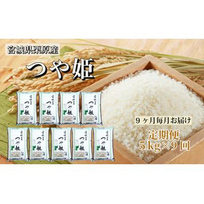 ふるさと納税 栗原市 【毎月定期便】つや姫白米5kg 宮城県栗原産全9回