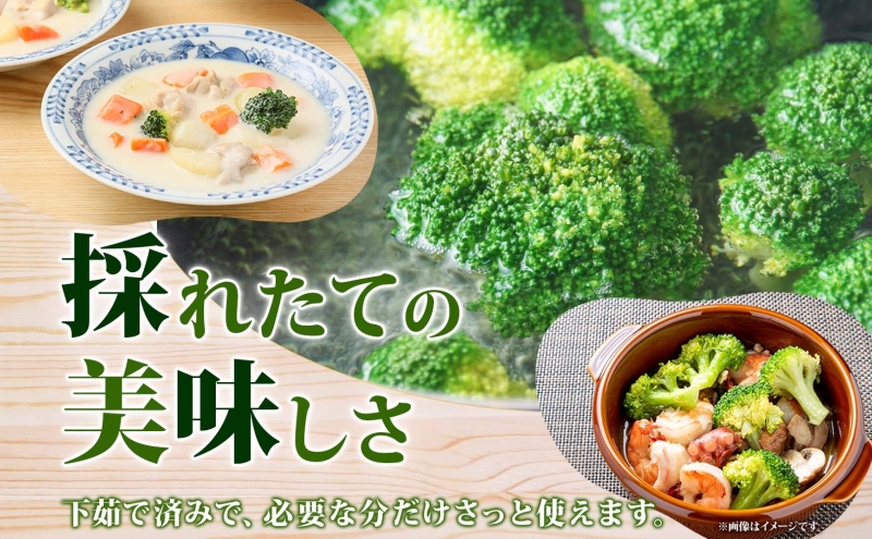 北海道 洞爺湖町産 ブロッコリー 計600g 60g 10袋 野菜 冷凍野菜 小分け 時短 簡単 調理 阿部自然農園 冷凍 北海道産 カット済み 一人暮らし 送料無料 洞爺湖町 