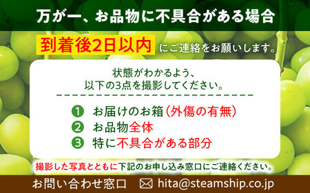 【先行予約・9月以降順次発送】シャインマスカット 1箱 (600g〜700g×2房) 日田市 / JAおおいた [AREW005]