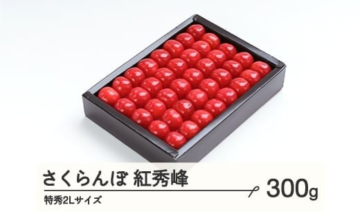 《先行予約》 さくらんぼ 紅秀峰 特秀2Lサイズ 300g 化粧箱鏡詰め 2025年産 令和7年産 山形県産 ns-bst2x300