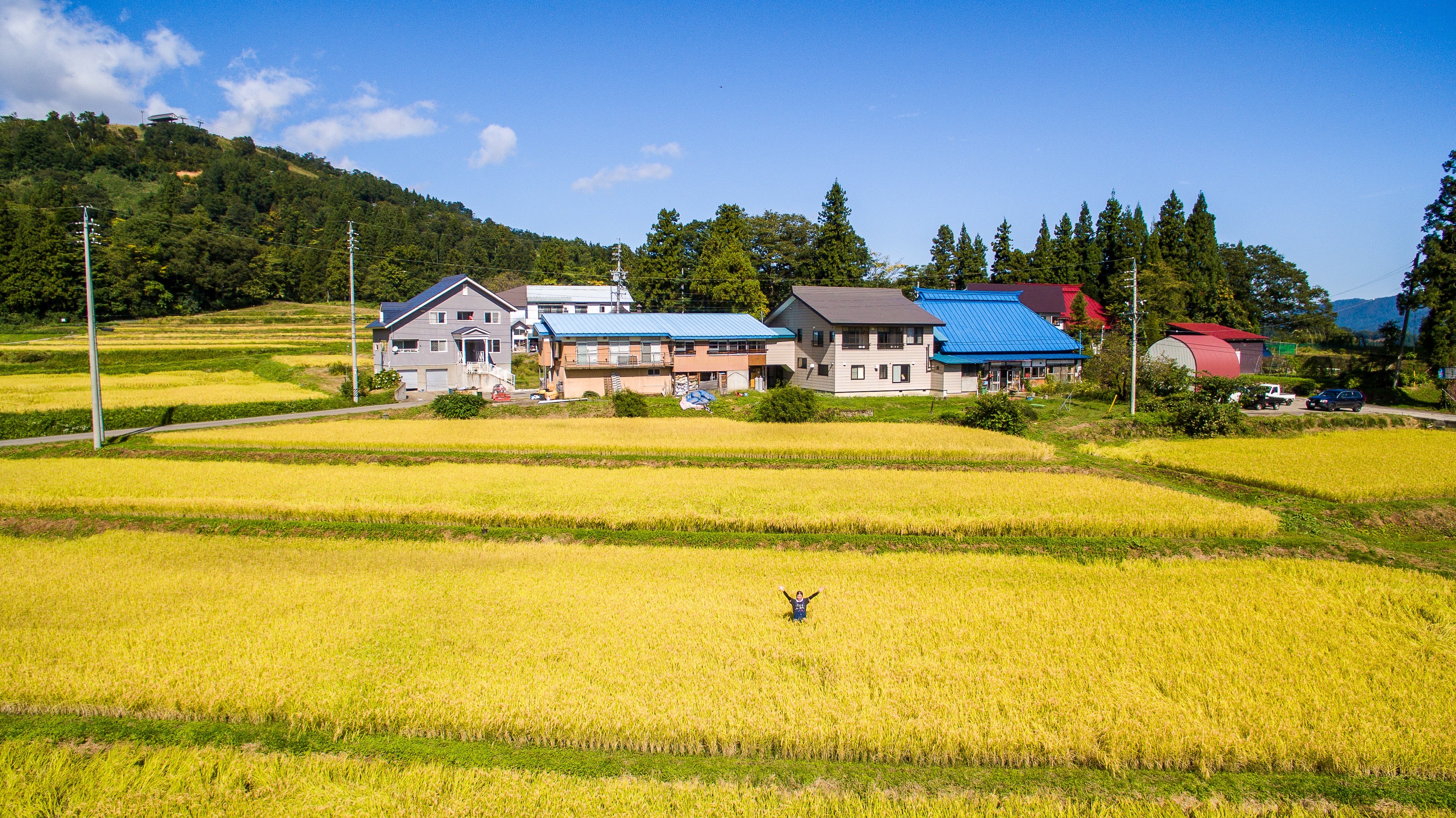 【令和6年産 新米予約】 極上のコシヒカリ「708米（なおやまい） 【蛍】」定期便5ｋｇ×9回 (6-26)