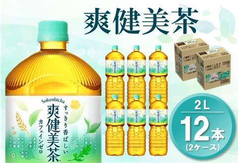 爽健美茶 2L(2ケース)計12本【コカコーラ カフェインゼロ 香ばしい おいしい 国産 ブレンド茶 お茶 ハトムギ 玄米 月見草 大麦 ドクダミ 植物素材 お徳 ペットボトル】 Z4-A047080