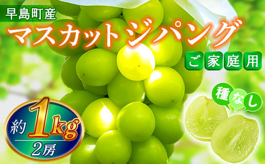 【家庭用】マスカットジパング２房（約1kg程度）（林果樹園）