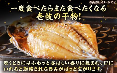 【全6回定期便】ひものや つかもとの旬のおまかせ干物詰め合わせ《梅》 [JDR010] 干物 ひもの みりん干し おまかせ 詰め合わせ アジ あじ いわし イワシ イカ 72000 72000円