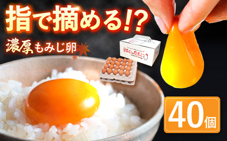 たまご 平飼いもみじたまご 40個 [OAC013]