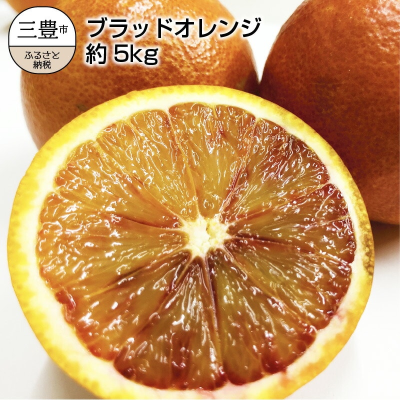 国産希少オレンジ 「ブラッドオレンジ」 約5kg