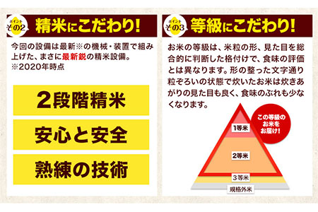 【3ヶ月定期便】令和6年産 新米 定期便 ひのひかり 10kg 《申込み翌月から発送》白米 ｜人気米 熊本県産米 お米 生活応援米