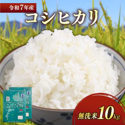 ふるさと納税 彦根市 令和7年産 コシヒカリ白米無洗米10kg(5kg×2袋) 粘り、甘み、香りの絶妙なバランス
