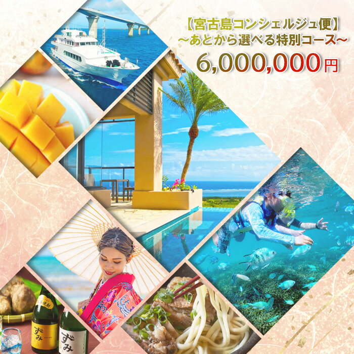 【ふるさと納税】宮古島コンシェルジュ便 〜あとから選べる特別コース〜（600万円分）（CW15）