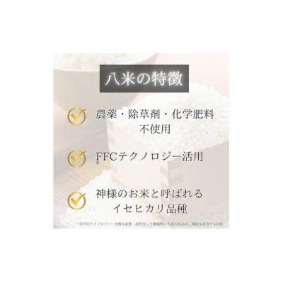ふるさと納税 山口市 ミツバチと地球の未来を守るお米【88(HACHIMAI)】玄米10kg B095 |  | 01