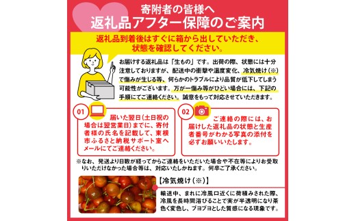 【2027年産 先行受付】 GI 東根さくらんぼ 紅秀峰 特秀品 約700g(350g×2P) 2Lサイズ以上 山形県 東根市 ベジフルひがしね hi104-018-r9 さくらんぼ サクランボ フル