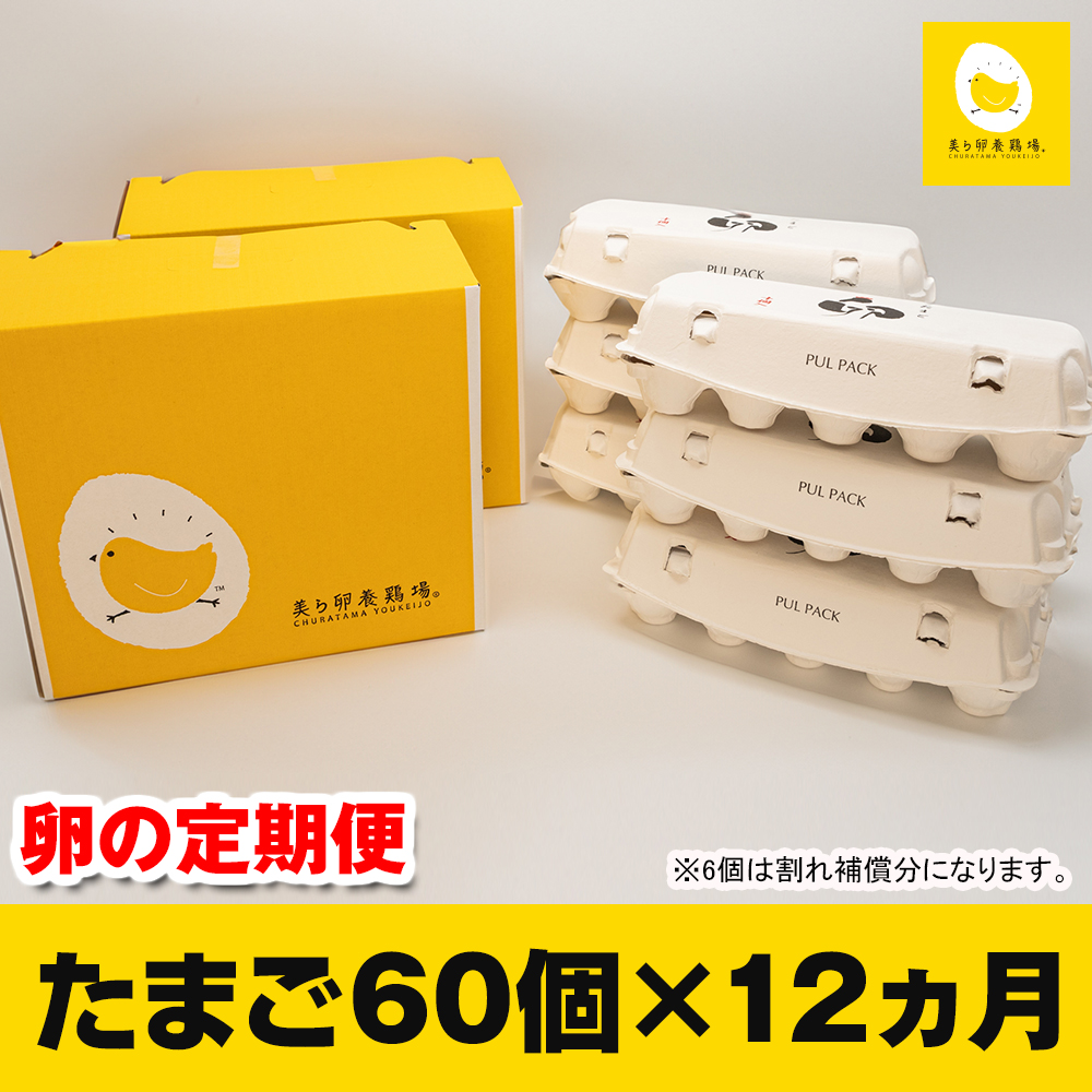 【定期便】12ヵ月連続お届け　美ら卵養鶏場の卵　各月60個