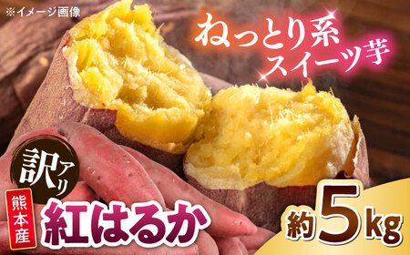 【訳あり】紅はるか 約5kg 2S?3Lサイズ混合 さつまいも さつまいも さつまいも さつまいも さつまいも さつまいも [AYAT010]