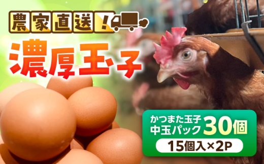 かつまた玉子 中玉パック 30個 (25個+割れ保証5個) 瑞浪市 / かつまた玉子 卵 たまご タマゴ 鶏卵 [AZAQ001]