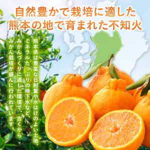 『 かめまる食堂 』 熊本県産 ご家庭用 不知火 約 5kg （ デコポン と同品種 ） 柑橘 みかん フルーツ 訳あり でこみかん 果物 熊本県産 生産量全国一位！