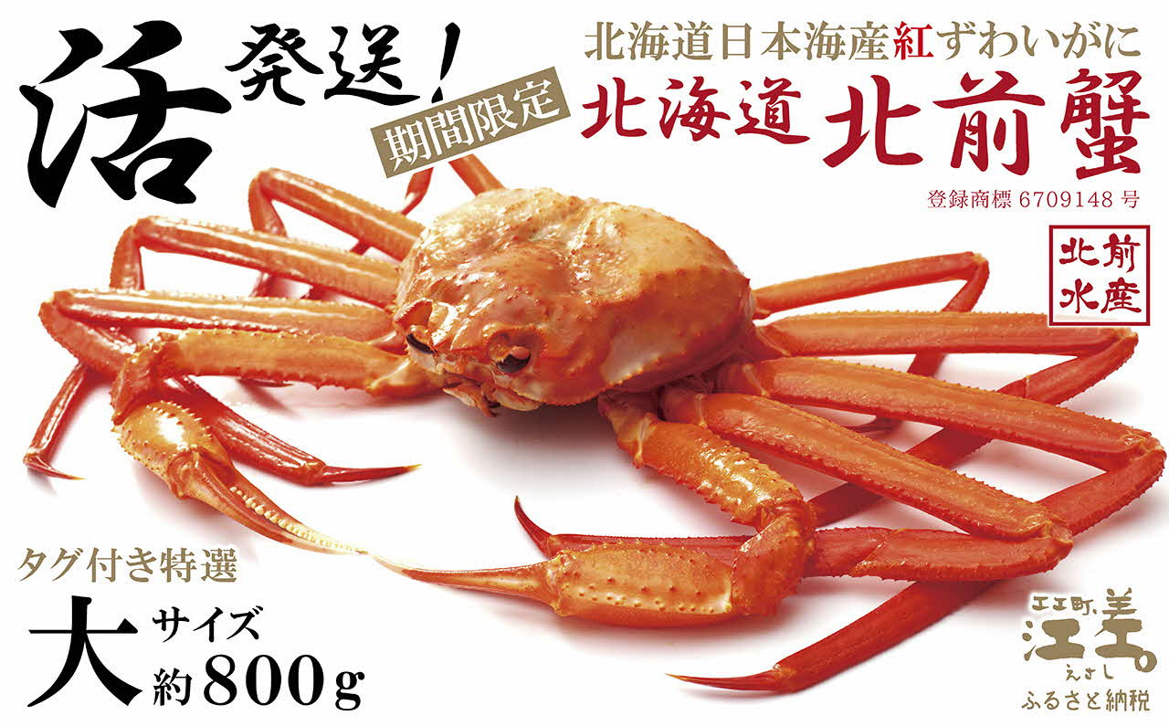 
            ＼3～4月限定出荷／活発送！【大】『北海道北前蟹』タグ付き特選 約800g（冷蔵）　年にひと月だけの期間限定「生」出荷　北海道日本海産紅ずわいがに　カニかご漁師直販　厳格な鮮度管理　新鮮　甘くてジューシー　活カニ　生蟹　かに刺し　焼き蟹　蒸し蟹　かにみそ　かにしゃぶ　かに鍋　国産ベニズワイ
          