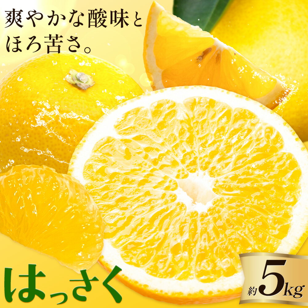【ふるさと納税】八朔 はっさく 柑橘類 約 5kg 5キロ 大小 サイズ混合 たまき果樹園《2026年2月上旬-3月中旬頃出荷》和歌山県 日高川町 送料無料 柑橘 かんきつ ハッサク みかん フルーツ 果物 お取り寄せフルーツ