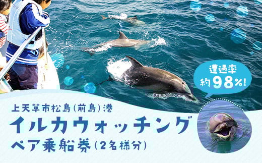 
イルカウォッチング
